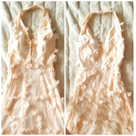 🍒NWT🍒 ROMANTIC PETAL MAXI DRESS IN PEACH - Picture 5 of 7